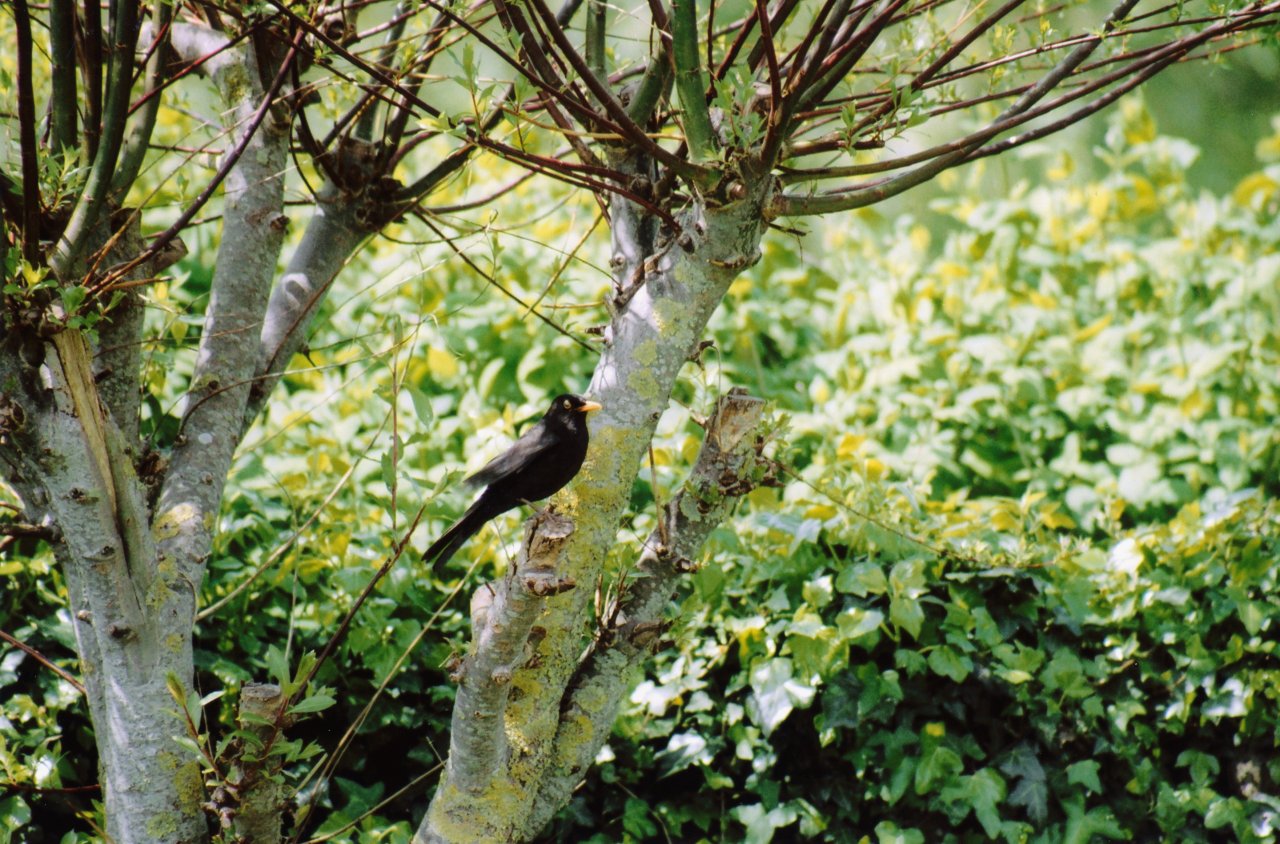 Mand A visit to Glasonbury area- May 2005 3